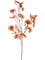 Гинкго ветка коралловая (искусственное/ая/ый) Nieuwkoop Europe 41519 - фото 102836