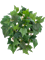 Плющ куст (fr) (искусственный) Nieuwkoop Europe 41530 - фото 102847