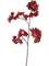 Бугенвиллия ветка красная (искусственная) Nieuwkoop Europe 41546 - фото 102863