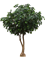 Дуб дерево (fr) (искусственное) Nieuwkoop Europe 41655 - фото 103286