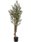 Олива дерево 180 (искусственное) Nieuwkoop Europe 41659 - фото 103289
