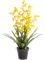 Онцидиум жёлтый (искусственный) Nieuwkoop Europe 41663 - фото 103293