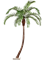 Пальма финиковая (2 teile) (искусственная) Nieuwkoop Europe 41685 - фото 103310