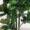 180/РН/631(з)(Пр)(F) Фикус искусственный Лирата h180см 42058 - фото 103893