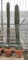 Пахицереус прингла 280/55 (Nieuwkoop Europe) 42613 - фото 104617