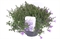 Колокольчик Портеншлага "Campala Iris" фиолетовый 35/23 (Nieuwkoop Europe) 43491 - фото 105732