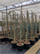 Кедр ливанский "Glauca Pendula" 230/43 (Nieuwkoop Europe) 43681 - фото 105928