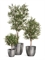Кашпо TREEZ Effectory Metal Округлый конус Стальное серебро 43764 - фото 106016