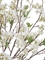 Ветка Сакуры белая Дворец императора большая (искусственная) Treez Collection 43757 - фото 106035