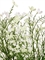 Цветущий полевой куст белый (искусственный) Treez Collection 43753 - фото 106039