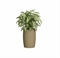 Кашпо CONCRETIKA СИГАР ИМБИРНЫЙ низкое 44746 - фото 108532