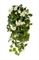 Герань ампельная (3 цвета) (искусственная) Treez Collection 2769 - фото 109387