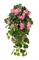 Герань ампельная (3 цвета) (искусственная) Treez Collection 2769 - фото 109388