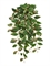 Хойя Кримсон Квин ампельная зелёно-бело-розовая искусственная (Sensitive Botanic) Treez Collection 45558 - фото 109434