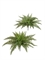 Папоротник Вудвардия средний (34 листа) искусственный Treez Collection 45561 - фото 109437