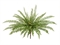 Папоротник Бостон новый Элегант куст (искусственный) Treez Collection 45562 - фото 109438