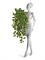 Фагрея Цейлоника зелёная ампельная большая искусственная (Sensitive Botanic) Treez Collection 45560 - фото 109976