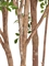 Гигантская Муррайя в-330 см сборная (искусственная) Treez Collection 45557 - фото 109981