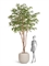 Гигантская Муррайя в-330 см сборная (искусственная) Treez Collection 45557 - фото 109983