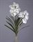 Орхидея Ванда куст белая с корнями (искусственная) Treez Collection - фото 12238