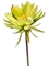 Цветок кактуса (искусственный) Nieuwkoop Europe - фото 14346