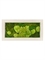 Картина из мха natural 50% ball- and 50% flat moss (искусственная) Nieuwkoop Europe - фото 14638