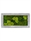 Картина из мха raw grey 30% ball- and 70% flat moss (искусственная) Nieuwkoop Europe - фото 14640