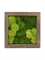 Картина из мха rock 30% ball- and 70% flat moss (искусственная) Nieuwkoop Europe - фото 14644