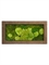 Картина из мха rock 50% ball- and 50% flat moss (искусственная) Nieuwkoop Europe - фото 14648
