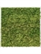 Картина из мха aluminum 100% reindeer moss (forest green) искусственная Nieuwkoop Europe - фото 14656