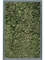 Картина из мха mdf ral 7016 satin gloss 100% reindeer moss (dark green) искусственная Nieuwkoop Europe - фото 14673