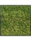 Картина из мха mdf ral 9005 satin gloss 100% reindeer moss (forest green) искусственная Nieuwkoop Europe - фото 14679