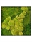 Картина из мха stiel l ral 7016 50% ball- and 50% flat moss (искусственная) Nieuwkoop Europe - фото 14698