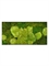 Картина из мха stiel l ral 7016 50% ball- and 50% flat moss (искусственная) Nieuwkoop Europe - фото 14699