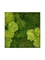 Картина из мха stiel l ral 9010 30% ball- and 70% flat moss (искусственная) Nieuwkoop Europe - фото 14700