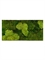 Картина из мха stiel l ral 9010 30% ball- and 70% flat moss (искусственная) Nieuwkoop Europe - фото 14702