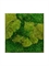 Картина из мха stiel l ral 9010 50% ball- and 50% flat moss (искусственная) Nieuwkoop Europe - фото 14703
