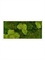 Картина из мха stiel ral 9010 mat 30% ball- and 70% flat moss (искусственная) Nieuwkoop Europe - фото 14711