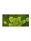 Картина из мха stiel ral 9010 mat 50% ball- and 50% flat moss (искусственная) Nieuwkoop Europe - фото 14713