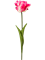 Тюльпан розовый (искусственный) Nieuwkoop Europe - фото 40139