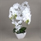 ЦК80*9/33-1 Орхидея Фаленопсис (белая)h80см(латекс) в интерьерном кашпо d17см - фото 53978