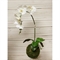 ККД55/216 Кокедама d15см "Орхидея"белая(латекс) - фото 54346