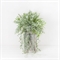 КЗ/04 Дидимохлена с ампельными растениями h19см в подвесном кашпо d13см - фото 55168