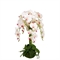 ЦК70/34(з.) Орхидея h70см(латекс) на мшистой кочке - фото 55666