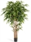 Бамбук Новый натуральный (искусственный) Treez Collection - фото 64618