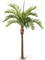 Финиковая пальма Гигантская (искусственная) Treez Collection - фото 64624