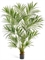 Пальма Кентия (Ховея) де Люкс 225 см (искусственная) Treez Collection - фото 64633