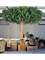 Лонгифолия широколистная плаза 300 см (искусственная) Treez Collection - фото 64655