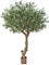 Олива Олден на толстом стволе (искусственная) Treez Collection - фото 64656