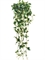 Эйер Филодендрон зеленый ампельный (искусственный) Treez Collection - фото 64772
